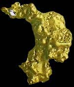 [[Gold Nugget]