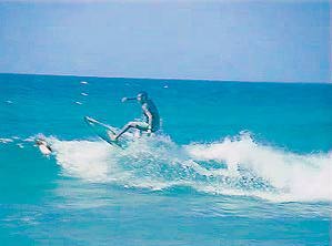 [Surfboard rider]