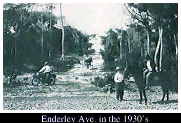 [Enderly Ave in the 1930's]