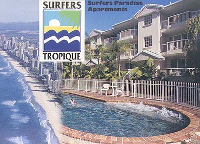 [Surfers Tropique Low Rise]