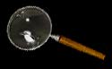 [Magnifying Glass]